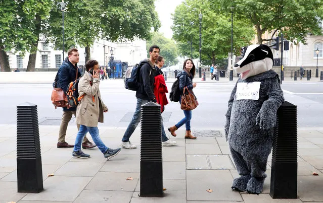 A person stands in a badger costume outside Downing Street in London, Britain September 25, 2017. (Photo by Hannah McKay/Reuters)
