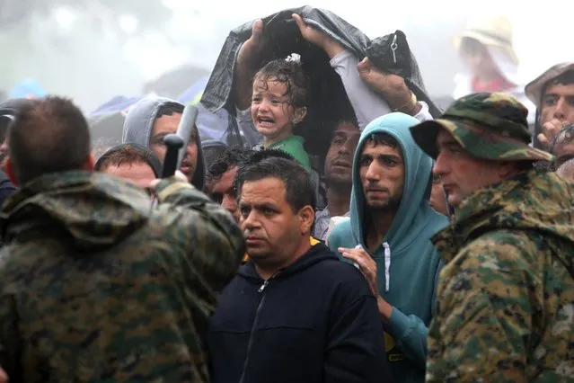 A child cries as migrants and refugees wait to cross the Greek-Macedonian border near the village of Idomeni, in northern Greece on September 10, 2015. More than 10 thousands refugees and migrants arrived in Piraeus from the overcrowded Greek islands, especially the island of Lesbos , in the last 24 hours. (Photo by Sakis Mitrolidis/AFP Photo)