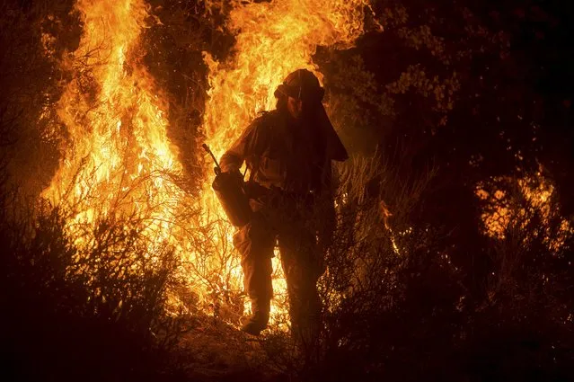 A firefighter lights a backfire while battling the Butte fire near San Andreas, California September 12, 2015. (Photo by Noah Berger/Reuters)