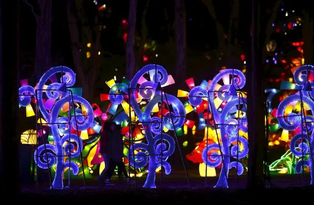 People attend the Dandenong Festival of Lights in the suburb of Dandenong in Melbourne, Australia, September 23, 2015. (Photo by Darrin Zammit Lupi/Reuters)