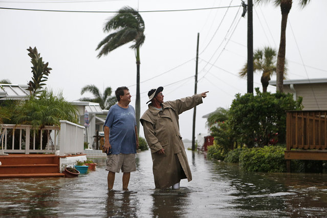 Residents of the Sandpiper Resort survey the rising water coming from the Gulf of Mexico into their neighborhood as winds and storm surge associated with Tropical Storm Hermine impact the area on September 1, 2016 at in Holmes Beach, Florida. Hurricane warnings have been issued for parts of Florida's Gulf Coast as Hermine is expected to make landfall as a Category 1 hurricane. (Photo by Brian Blanco/Getty Images)