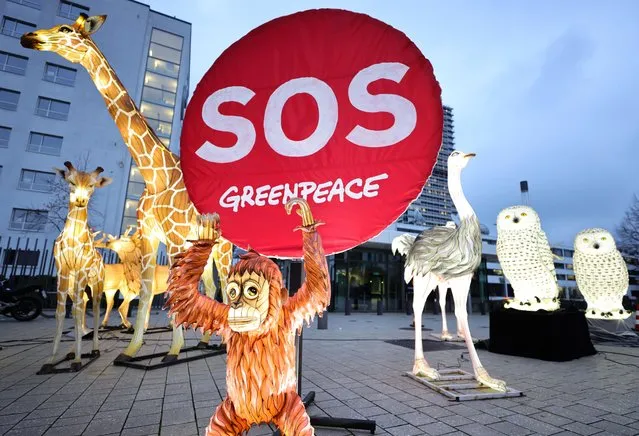 Illuminated effigies of animals set up in front of the United Nations campus by Greenpeace are pictured to protest for better global biodiversity protection on December 05, 2022 in Bonn, Germany. The protest is taking place ahead of the upcoming COP15 biodiversity conference in Montreal, Canada, which is to open December 7. (Photo by Andreas Rentz/Getty Images)