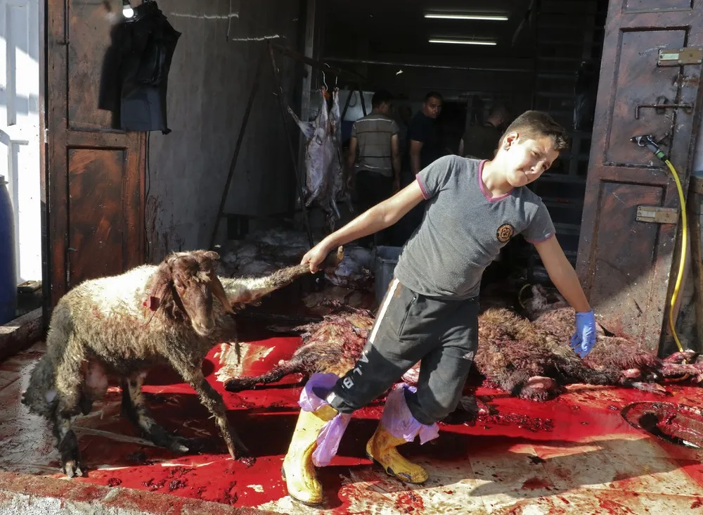 Palestinians Daily Life