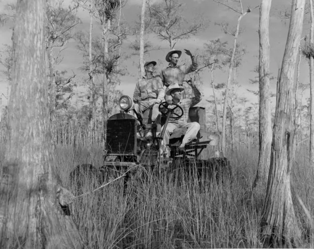 Florida, Everglades National Park. November 29, 1948. (Photo by New York Post/Photo Archives, LLC via Getty Images)