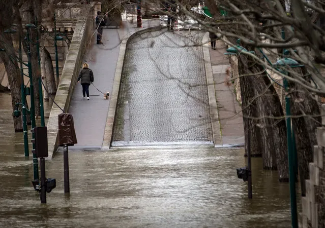 A woman walks her dog near the flooded banks of the Seine river in Paris, France, 29 January 2018. Unusually heavy rainfall caused the Seine river level to rise causing flooding along Paris' riverbanks – reaching its peak today, of 5.9 meters above the usual level. (Photo by Ian Langsdon/EPA/EFE)