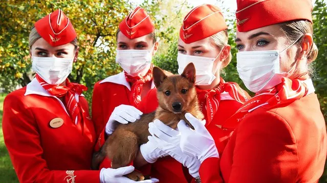 Aeroflot employees with a puppy at the canine service of Aeroflot at Sheremetyevo International Airport in Moscow Region, Russia on October 2, 2020, that has started to train service dogs to detect COVID-19 in people. (Photo by Vladimir Gerdo/TASS)