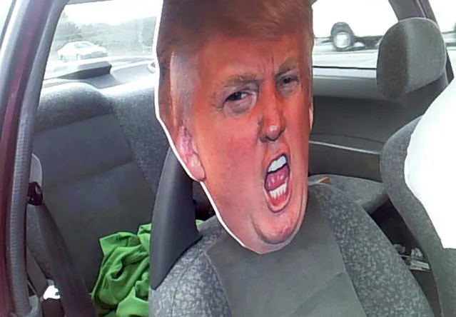 This photo provided by the Washington State Patrol shows a cardboard cutout of Republican presidential nominee Donald Trump's head in the passenger seat of a car Tuesday, September 27, 2016, in Seattle. A trooper stopped the motorist who was driving with the cardboard likeness in a carpool lane south of Seattle on Highway 167. The stunt netted the driver a $136 ticket. (Photo by Washington State Patrol via AP Photo)