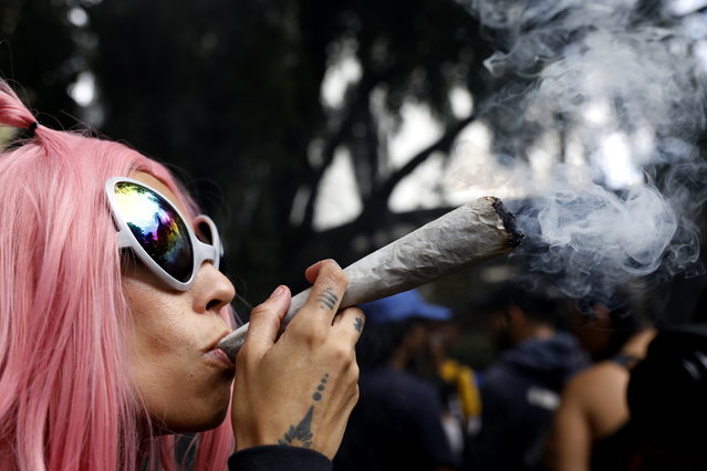 A person participates in a World Marijuana March, in Medellin, Colombia, 04 May 2024. Hundreds of people gathered in Medellín in favor of the self-cultivation and use of cannabis for medicinal and recreational purposes. (Photo by Luis Eduardo Noriega A./EPA/EFE)