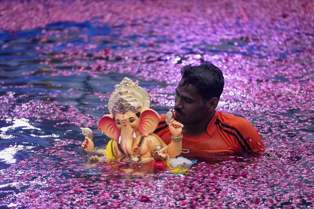 Indian volunteer carries an idol of elephant-headed Hindu god Ganesha to immerse in artificial pond in Mumbai, India, Thursday, August 28, 2025. (Photo by Rajanish Kakade/AP Photo)