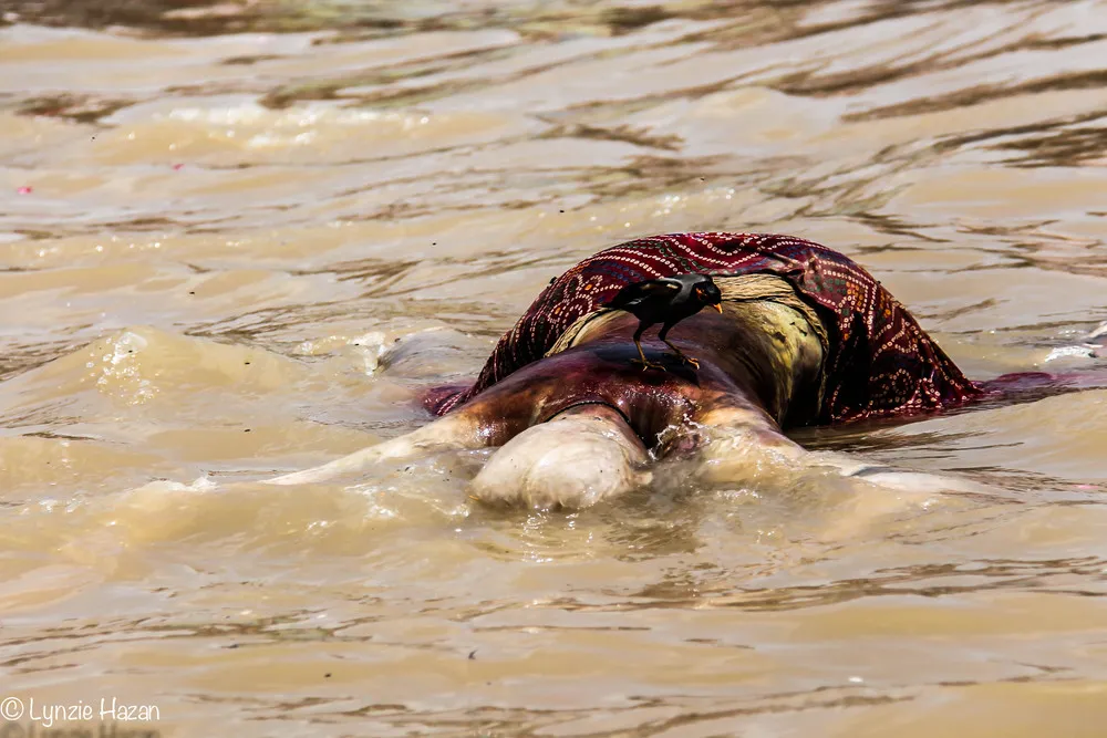 Varanasi: India's City of Death and Life