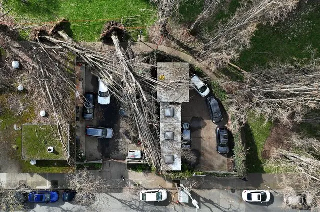 In an aerial view, fallen trees rest on vehicles in a San Francisco Recreation and Parks Dept. structure on March 23, 2023 in San Francisco, California. Clean up continues two days after the Greater San Francisco Bay Area was impacted by a rare Bomb Cyclone that brought heavy rains and extremely high winds that toppled trees and caused mud and rock slides. Over 900 trees fell in San Francisco during the storm. Five people were killed. (Photo by Justin Sullivan/Getty Images)