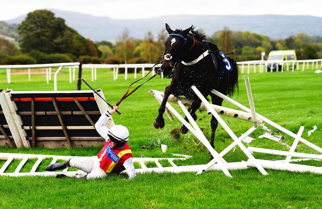 Jockey William Maggs falling from Jack The Boss during the Join The Ludlow Racecourse Racing Club Novices' Hurdle at Ludlow Racecourse, Bromfield, UK on Thursday, October 23, 2025. (Photo by David Davies/PA Images via Getty Images)