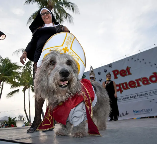 Ashley Sybesma, costumed as a nun, parades across the stage with Seamus, garbed as the Pope, at the Fantasy Fest Pet Masquerade in Key West, Florida, U.S. October 26, 2016. (Photo by Courtesy Rob O'Neal//ReutersFlorida Keys News Bureau)