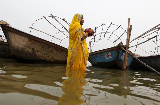 A Hindu woman worships the Sun god in the waters of the Yamuna river during the religious festival of Chhat Puja in Allahabad, India, November 6, 2016. (Photo by Jitendra Prakash/Reuters)