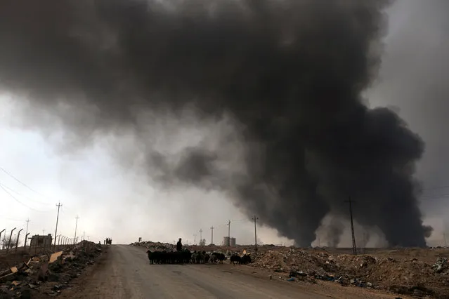 Smoke rises from oil wells, set ablaze by Islamic State militants before fleeing the oil-producing region of Qayyara, Iraq, November 12, 2016. (Photo by Air Jalal/Reuters)