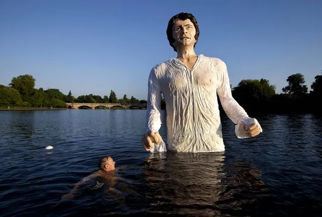 A swimmer approaches a statue meant to depict actor Colin Firth performing as Mr. Darcy, a character in Jane Austen's novel “Pride and Prejudice”, at Serpentine Lake in London's Hyde Park, on July 8, 2013. (Photo by David Parry/PA)