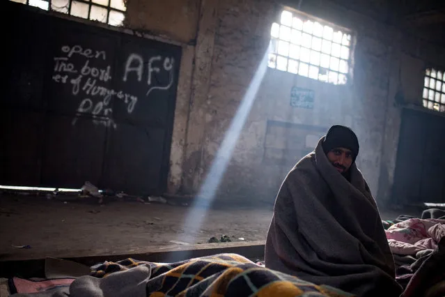 A Pakistani migrant sits in a makeshift shelter in an abandoned warehouse in Belgrade on November 16, 2016. Hundreds of thousands of migrants had passed through Serbia in 2015 and early 2016. This road trough the Balkans had been closed in March after the borders of several countries, including Croatia, had been closed for migrants. (Photo by Andrej Isakovic/AFP Photo)