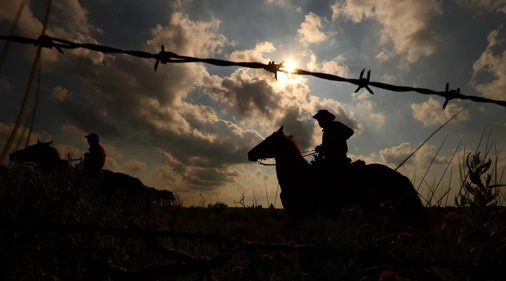 The 88th Annual Chincoteague Pony Swim