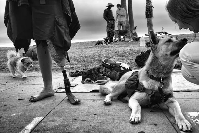 Hopper, the young man with an artificial leg in the foreground, and his friend T, the middle-aged hippie wearing a hat in the background, hang out with their many dogs on the Venice boardwalk. A young woman stops to pet one of the furry companions. Within the category that we call “the homeless” is a diverse mix of people. Some are chronically homeless and suffer from mental illness. Others, like T and Hopper, proudly identify as “home-free” and come to Venice to live the bohemian lifestyle for a few days before setting sail for another destination. (Photo by Dotan Saguy)