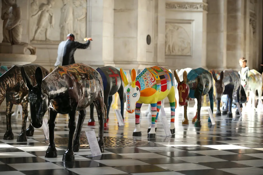 Painted Donkeys Arrive to St. Paul's Cathedral