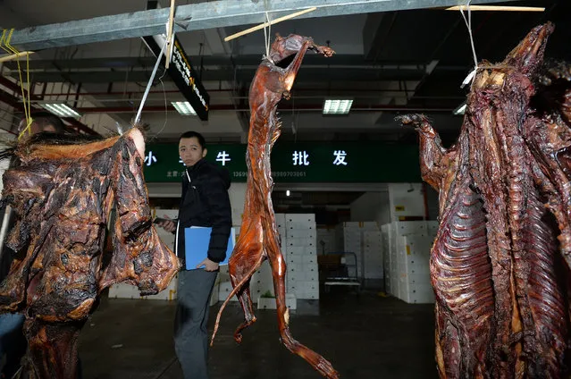 A legal enforcement staff member walks past a vendor's shop selling cat meat as fake wild game in Chengdu, Sichuang province, China, November 28, 2016. (Photo by Reuters/Stringer)