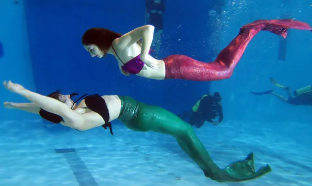Vickie Leuenberger (L) practices with a mermaid tail with AquaMermaid founder Marielle Chartier Henault in a pool in Montreal, February 19, 2015. (Photo by Christinne Muschi/Reuters)