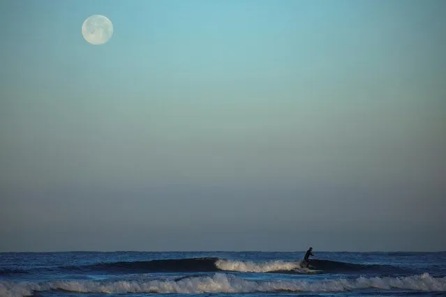 A surfer rides a wave as the moon sets and the sun rises at Cardiff State Beach in Encinitas, California, U.S., March 29, 2021. (Photo by Mike Blake/Reuters)