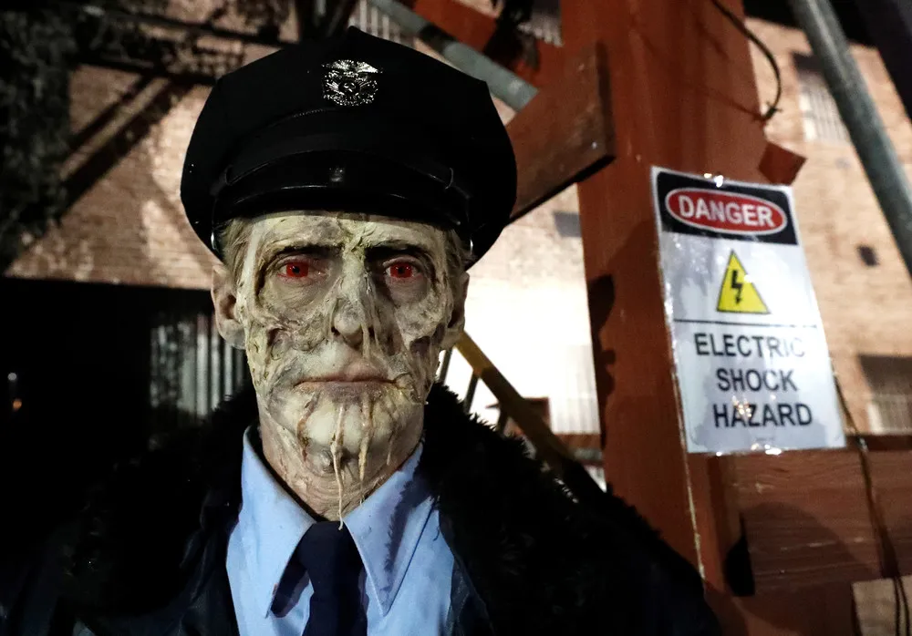 Halloween Night 2018