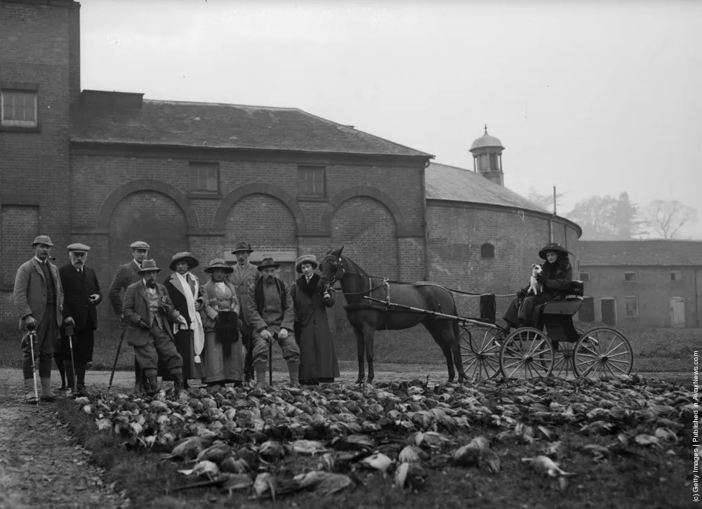 Hunting And Fishing. Part II