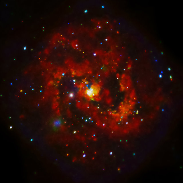 M83, a spiral galaxy about 15 million light years from Earth, is one of the deepest X-ray observations ever made of a supernova from a spiral galaxy beyond our own. This full-field view of the spiral galaxy shows the low, medium, and high-energy X-rays observed in red, green, and blue respectively. The distribution of X-rays with energy suggests that SN 1957D contains a neutron star, a rapidly spinning, dense star formed when the core of pre-supernova star collapsed. (Photo by Reuters/NASA)
