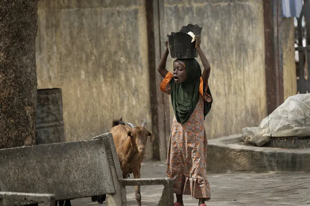 A young girl carrying a broken plastic bucket full of food on her head reacts as a goat crosses her path, in Kano, northern Nigeria Tuesday, February 19, 2019. (Photo by Ben Curtis/AP Photo)