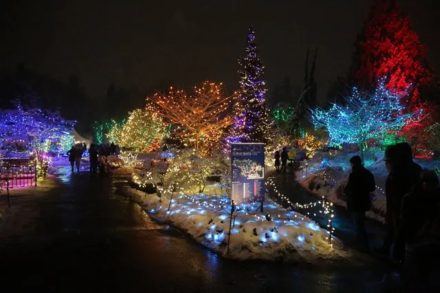 Guests walk by a light display during Festival of Lights at VanDusen Botanical Garden on December 19, 2022 in Vancouver, British Colombia, Canada. Festival, featuring more than one million lights decorating on 15 acres of VanDusen Botanical Garden. (Photo by Mert Alper Dervis/Anadolu Agency via Getty Images)