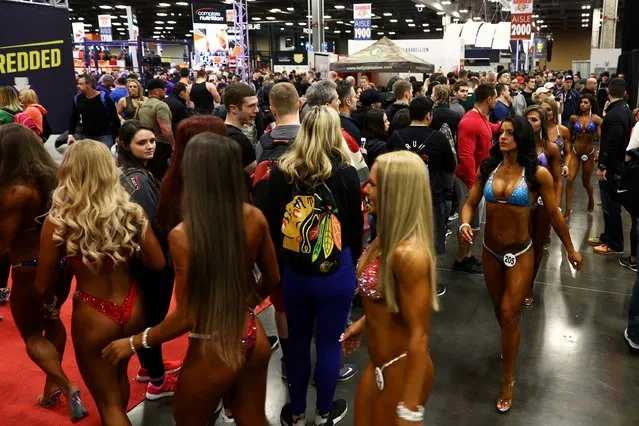Bikini International contestants walk towards the stage at the Greater Columbus Convention Center during the Arnold Sports Festival 2017 on March 4, 2017 in Columbus, Ohio. (Photo by Maddie Meyer/Getty Images)