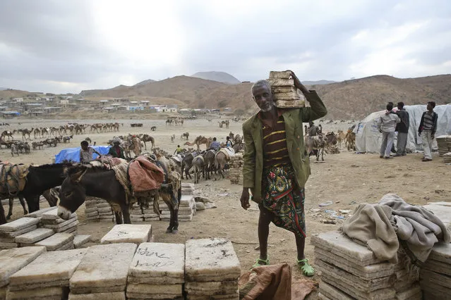 February 6, 2014 – Berahile, Danakil Desert, Ethiopia: Unloading salt slabs in Berahile. (Photo by Ziv Koren/Polaris)