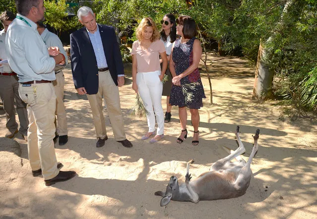 U.S. Vice President Mike Pence looks at a kangaroo called Penny with his wife Karen (L) and their daughters Audrey (2nd R) and Charlotte during a visit to Taronga Zoo in Sydney, Australia, April 23, 2017. (Photo by Peter Parkes/Reuters)