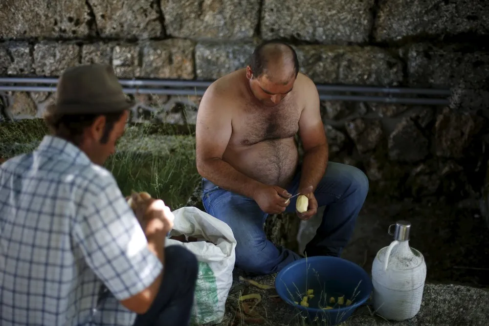 Portugal – Old Traditions, New Pastures