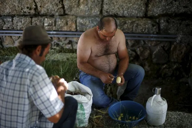 Shepherds Miguel Pula (R) and Nuno Miguel, prepare lunch as they herd their flock to summer pastures in Serra da Estrela, near Seia, Portugal June 29, 2015. (Photo by Rafael Marchante/Reuters)