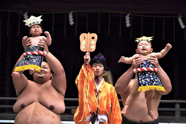 Babies crying are carried by sumo wrestlers on a ring during the Nakizumou event at Sanctuary Yukigaya Hachiman grounds on April 29, 2023, in Tokyo, Japan. Nakizumou (Crying sumo) is a 400 years traditional Japanese event to pray for the health and growth of babies, and which is originating from the legend that a baby's cry wards off evil. The event, which was canceled for three years in Japan following the COVID-19 epidemic, is being organized again while maintaining health security measures to avoid any risk of contamination par le coronavirus despite the demotion of the COVID-19 virus in rank of influenza by the Japanese government early next month. (Photo by David Mareuil/Anadolu Agency via Getty Images)