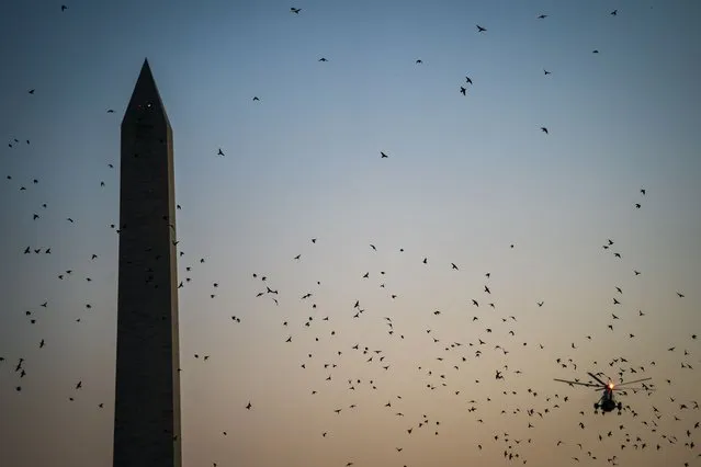 Marine One carrying President Trump lifts off from the South Lawn as he departs from the White House on December 18, 2019. (Photo by Jabin Botsford/The Washington Post)