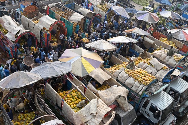 Traders and customers crowd at a wholesale fruit market in Lahore on September 26, 2024. Pakistan said on September 26 it would have to go through "transitional pain" after the International Monetary Fund agreed to a new relief package of $7 billion to bolster its faltering economy. (Photo by Arif Ali/AFP Photo)