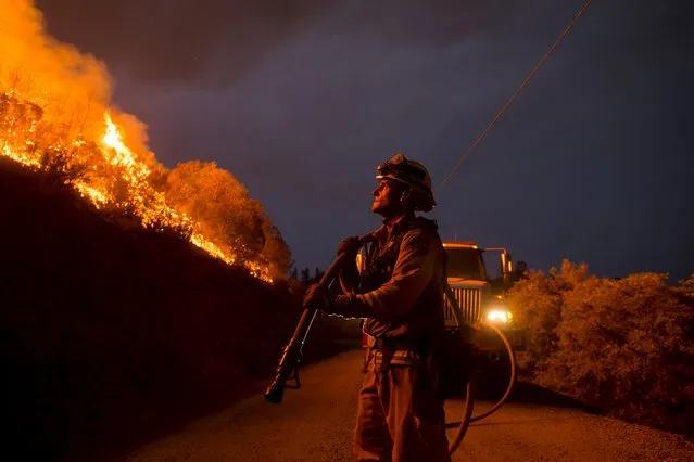 Firefighter Andrew Dodds monitors a backfire while battling the Butte fire near San Andreas, California September 12, 2015. (Photo by Noah Berger/Reuters)