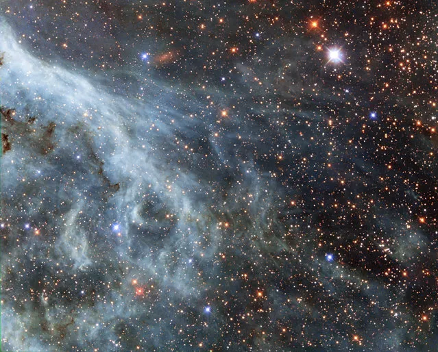 A section of the Tarantula Nebula, located within the Large Magellanic Cloud. The LMC is a small nearby galaxy that orbits our galaxy, the Milky Way, and appears as a blurred blob in our skies. (Photo by Reuters/NASA/ESA/Hubble Heritage Team)