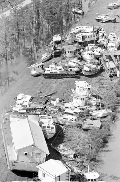 What looks like a typical traffic jam is really the result of Hurricane Camille's visit to Louisiana Sunday, August 17, 1969. These fishing and house boats were blown upon this levee near Boothville, about 40 miles southeast of New Orleans. (Photo by Jack Thornell/AP Photo)