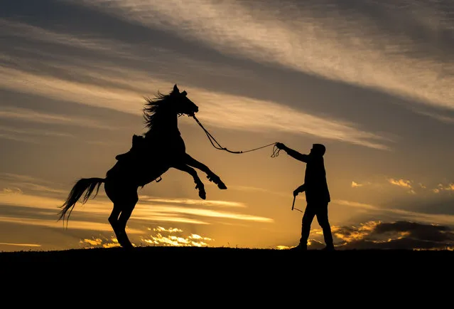 A man pets his horse during a sunset in Turkiye's Kars province on November 08, 2022. (Photo by Ismail Kaplan/Anadolu Agency via Getty Images)