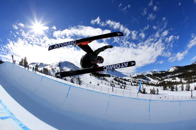 Nico Porteous of New Zealand competes in the qualifying round of the FIS Freestyle Ski World Cup 2017 Men's Ski Halfpipe during the Toyota U.S. Grand Prix at Mammoth Mountain on February 1, 2017 in Mammoth Lakes, California. (Photo by Sean M. Haffey/Getty Images)