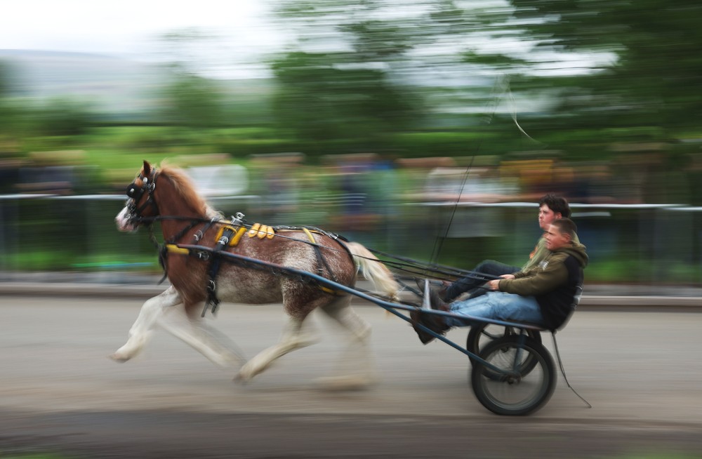 Some Photos: In Motion