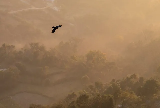 An eagle flies in the sky as the sun rises on a foggy winter morning in Kathmandu, Nepal, 05 December 2022. The temperature of the Kathmandu valley decreases as the winter weather starts to set in. (Photo by Narendra Shrestha/EPA/EFE/Rex Features/Shutterstock)