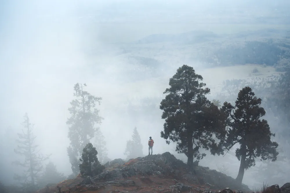 Photography by Elizabeth Gadd