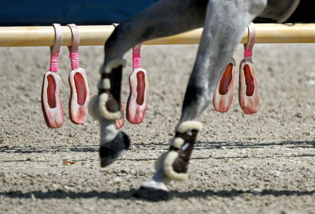 A detailed view of the course decorations during the jumping team qualifier at the Château de Versailles during the 2024 Paris Summer Olympic Games in Paris, France on August 1, 2024. (Photo By David Fitzgerald/Sportsfile via Getty Images)