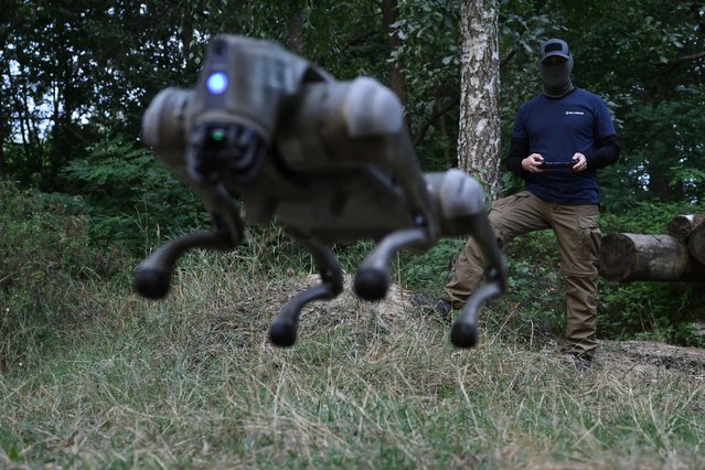 Operator with call sign Yuri demonstrates the capabilities of a robot dog at an undisclosed location in Ukraine on August 7, 2024, amid the Russian invasion of Ukraine. Stealthy and agile, robot dogs could soon become a common sight on the front in Ukraine, replacing soldiers for perilous missions like spying on Russian trenches or detecting mines. (Photo by Genya Savilov/AFP Photo)